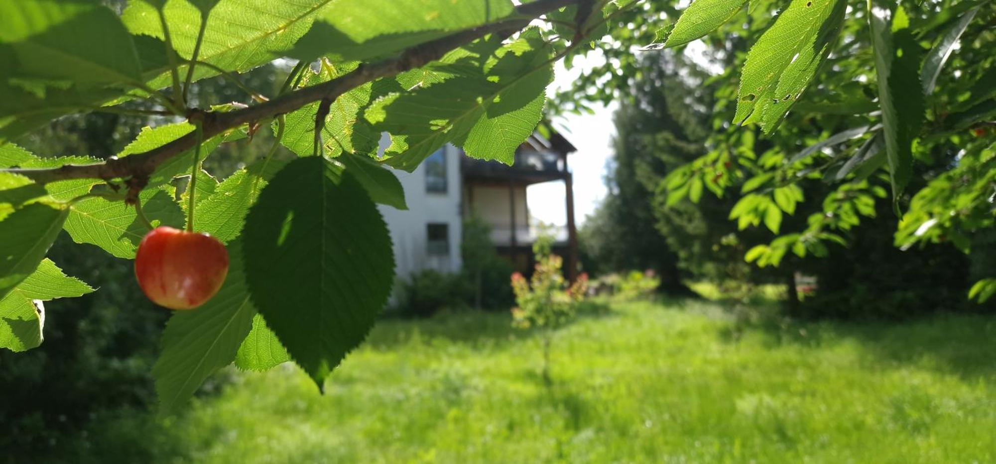 Darkwolf House Apartamento Merseburg Exterior foto