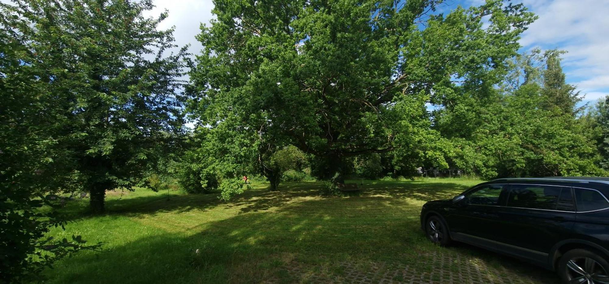 Darkwolf House Apartamento Merseburg Exterior foto
